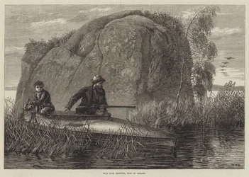 Skydning af vilde ænder, vest for Irland gravering