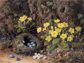 Stilleben med fuglerede, primula og violer (blyant og akvarel)