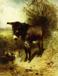 En brun undersøgelse, 1853