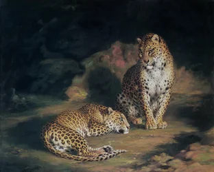 Et par leoparder, 1845