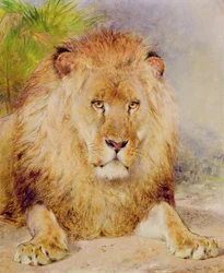 Løve