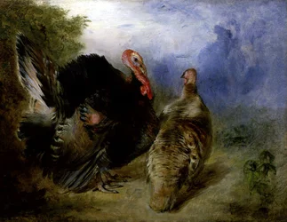 Kalkuner (olie om bord)