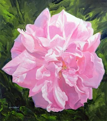 victoriansk rose