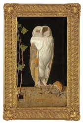 Den hvide ugle, 1856