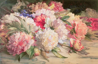 Peonies, 1892 (blyant, wc, forhøjet med hvid og gummi arabicum på papir)
