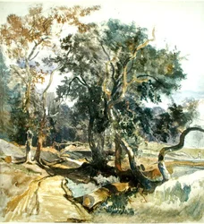A Woodland Track (blyant og akvarel på papir)