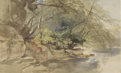 Ansigt i Stapleton Wood, nær Bristol
