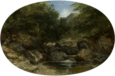 Rocky Stream ved Lynmouth