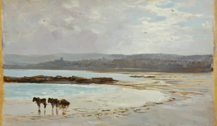 Strand ved lavvande: Aften