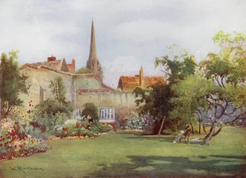 Miltons Mulberry Tree i Fellows Garden, Christs College