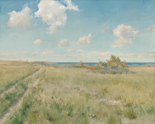 Den gamle vej til havet, ca. 1893.