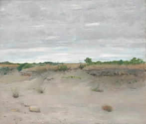 Forblæste sand, 1894.