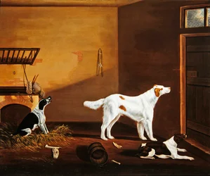Tre hunde i en stald