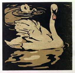 The Beautiful Swan, illustration fra 