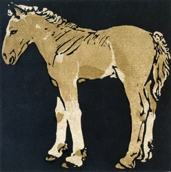The Growing Colt, fra 