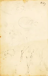(Studier - figurer, træstamme, hest og rytter osv.)