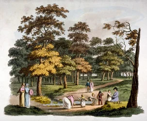 Udsigt over "dyppe"-brønden i Hyde Park, Westminster, London, c1810