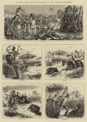 Skitser fra Indien, Hog-Hunting i Bombays præsidentskab