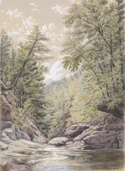 Catskill Clove i Palingsville, 1856.