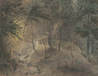 The View from the Springhouse at Echo, ca. 1808 (akvarel og blæk på vævet papir)
