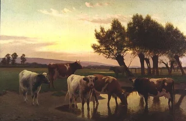 Aften nær Amberley