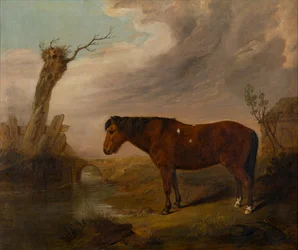 A Bay Pony by a River, ca. 1823 (olie på lærred)