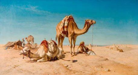 Et stop i ørkenen, 1867