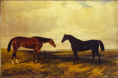 Jarlen af Granards lyse brune hoppeføl og mørkbrune hingst, 1885