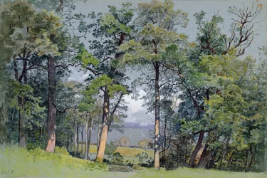 Coppet, Genèvesøen