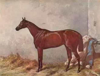 Eremit: vinder af Derby Stakes i Epsom, 1867, 1903