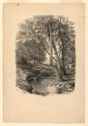 Tegning, Bassin i skoven, 1874