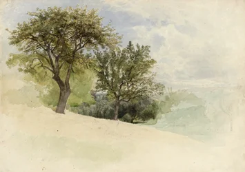 Landskab med træer på en bakkeskråning, 1880-85 (wc, grafit og strejf af hvid gouache på cremet kraftigt vævet papir)