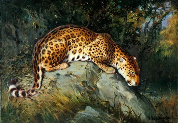 A Leopard Crouching on a Rock (olie på lærred lagt om bord)