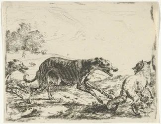 Ræv og tre hunde