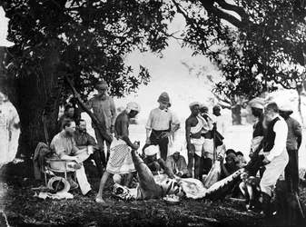 Flåning af tigeren, ca. 1870