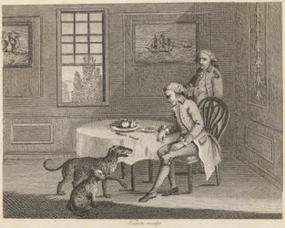 Manden, katten, hunden og fluen