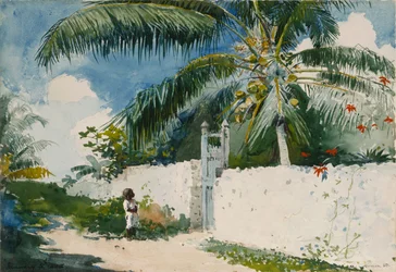 En have i Nassau