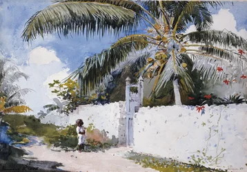 En have i Nassau, 1885