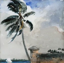 En tropisk brise, Nassau, 1889-90