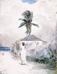Langs vejen, Bahamas, 1885