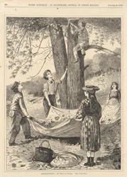 Kastanje, fra hver lørdag den 29. oktober 1870