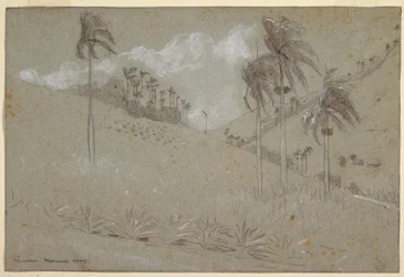 Tegning, cubansk bjergside, 1885