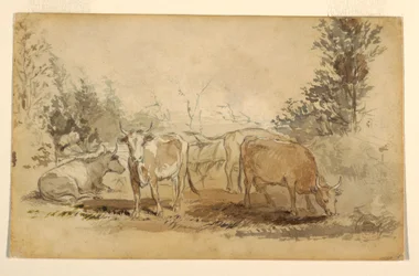 Tegning, Fire køer græsser på en græsmark, ca. 1855-60