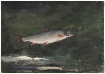Springørred, 1889.