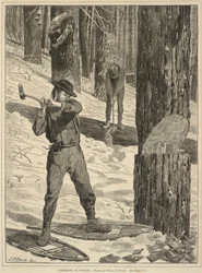Tømmerhugst om vinteren, fra Every Saturday: A Journal of Choice Reading, 28. januar 1871