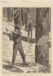 Tømmer om vinteren, fra hver lørdag den 28. januar 1871