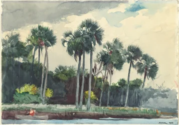 Rød skjorte, Homosassa, Florida