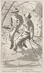 At svinge sig i et birketræ