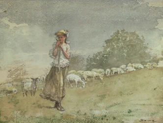 Pasning af får, Houghton Farm, ca. 1878-79
