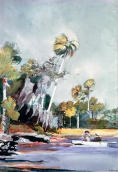 The Shell Heap, 1904